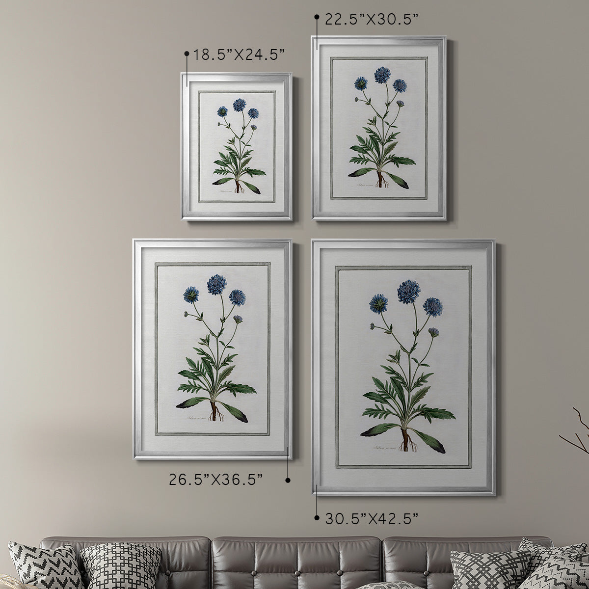 Soft Botanical II - Modern Framed Canvas Print