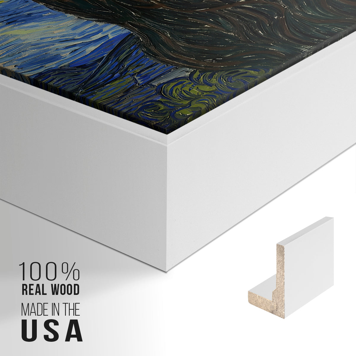 The Starry Night, 1889 - Floater Framed Canvas Print