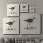 Morris Sandpipers V - Canvas Art Print