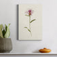 Mauve Garden Flowers VI Premium Gallery Wrapped Canvas - Ready to Hang