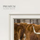 Longhorns - Double Matboard Framed Print