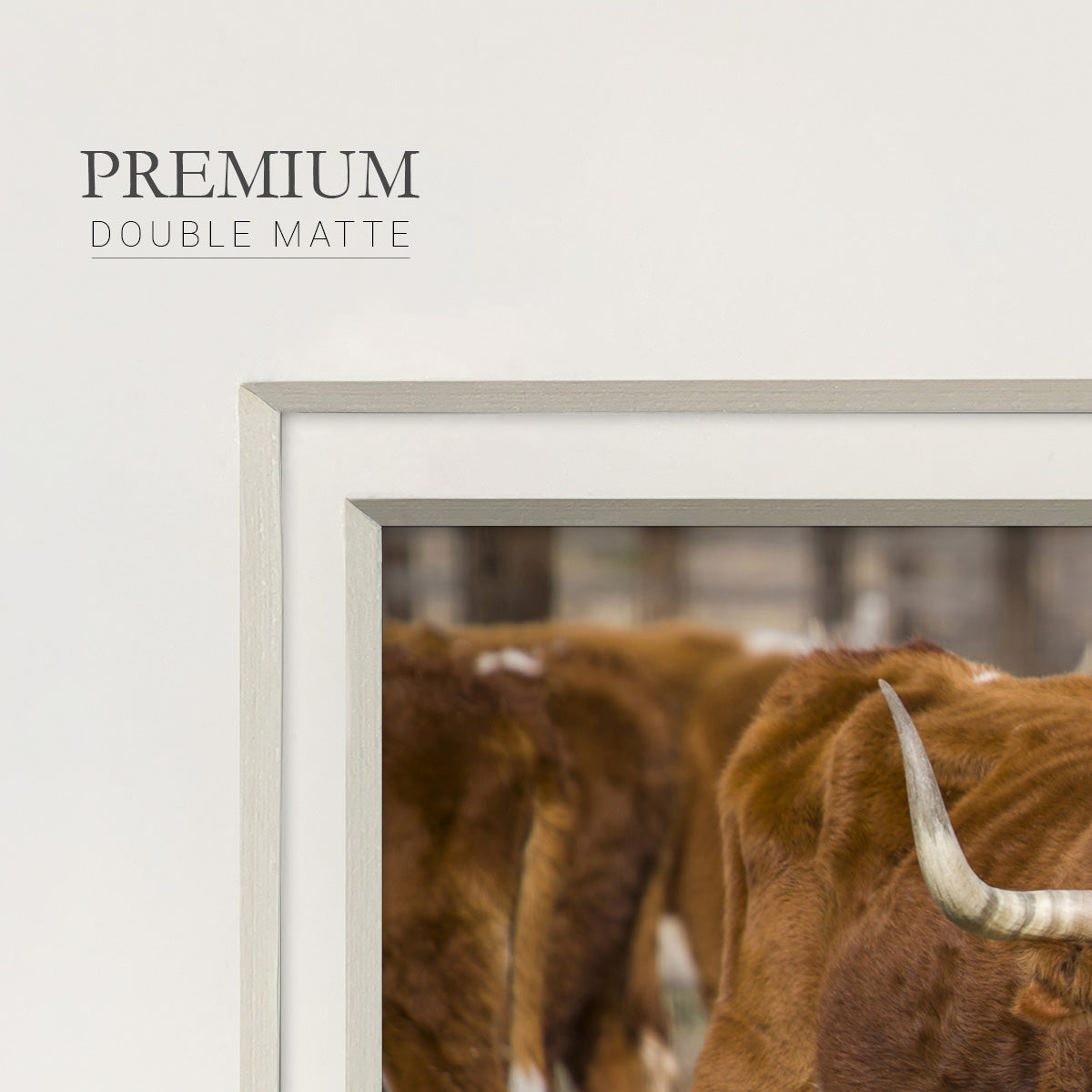 Longhorns - Double Matboard Framed Print