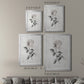 Vintage Botanical I - Modern Framed Canvas Print