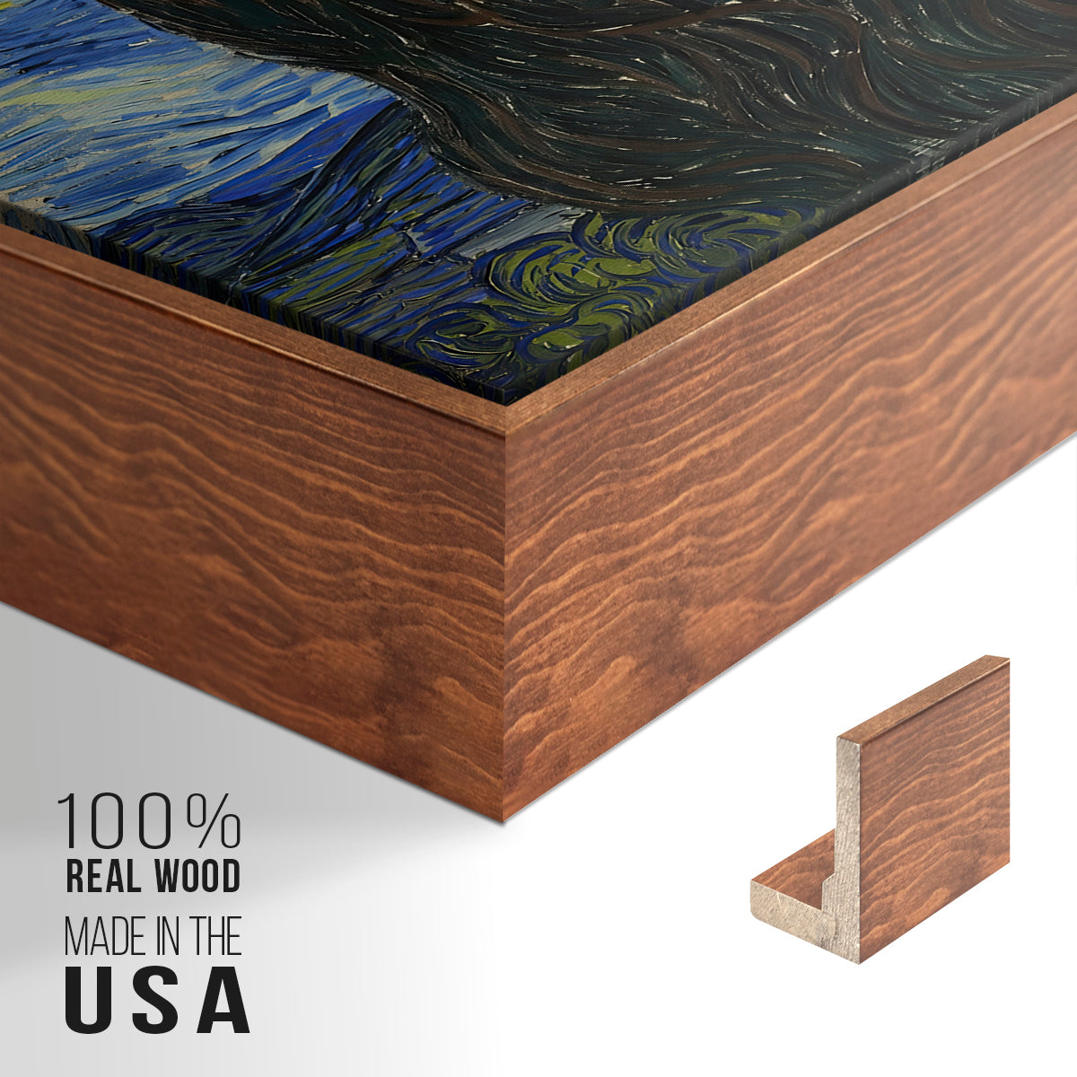 The Starry Night, 1889 - Floater Framed Canvas Print