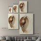 Splendid Shells III Premium Gallery Wrapped Canvas - Ready to Hang