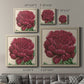 Peony Collection V - Canvas Art Print