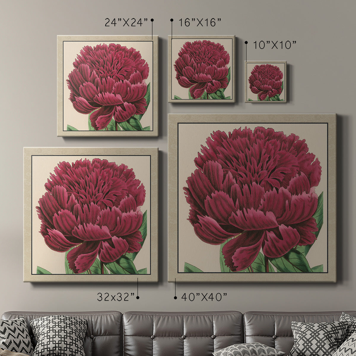 Peony Collection V - Canvas Art Print