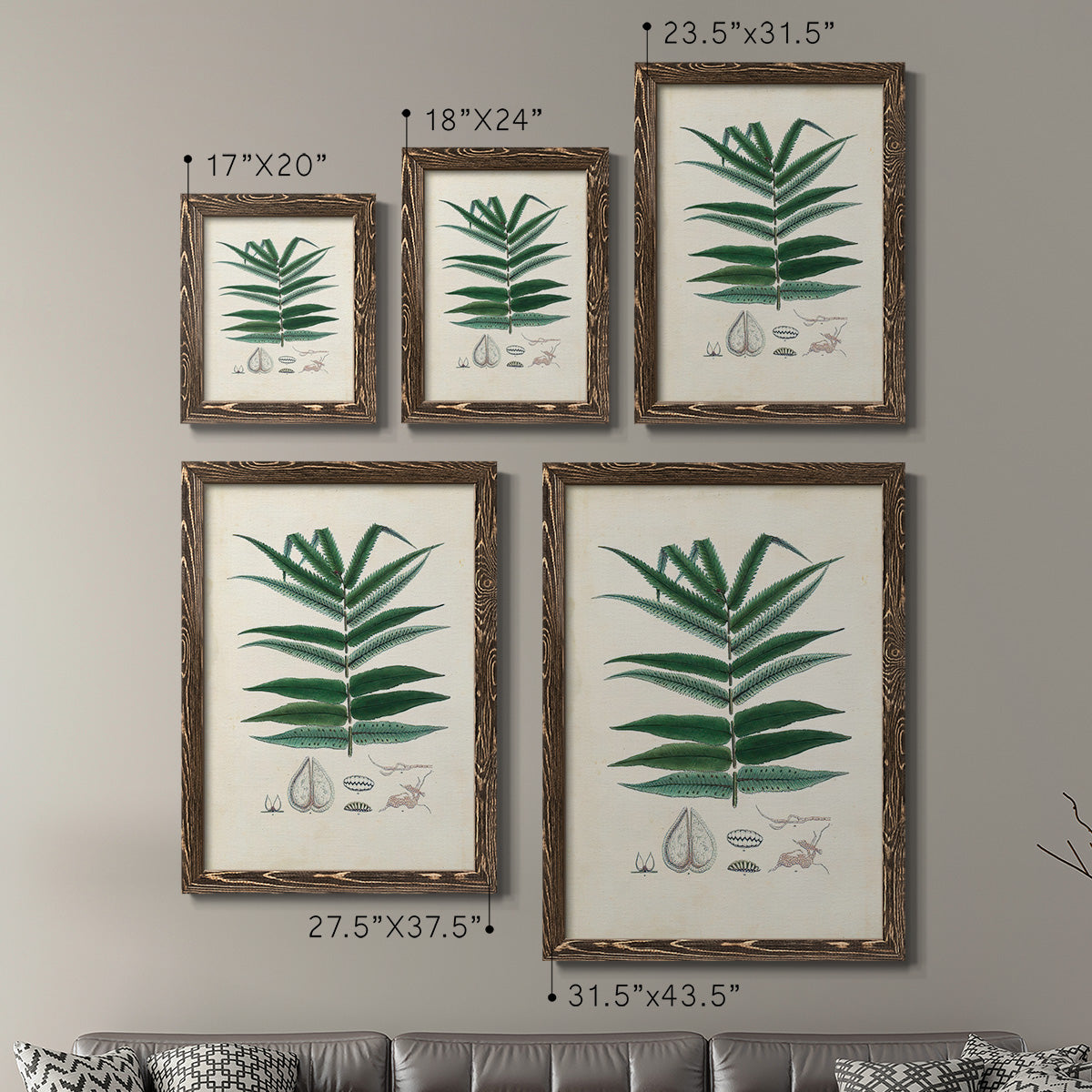 Size comparison chart for a set of two walnut barnwood framed canvas prints.