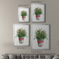 Winter Greens - Modern Framed Canvas Print