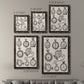 Pocket Watch Sketches I - Premium Framed Canvas 2 Piece Set - Ready to Hang