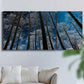 Three-panel canvas wall art featuring night landscape silhouette photography, displayed in a living room above a sofa.