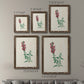 Traditional Botanical I - Premium Framed Canvas 2 Piece Set - Ready to Hang