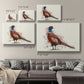 Pheasant Splash 5 Premium Gallery Wrapped Canvas - Ready to Hang