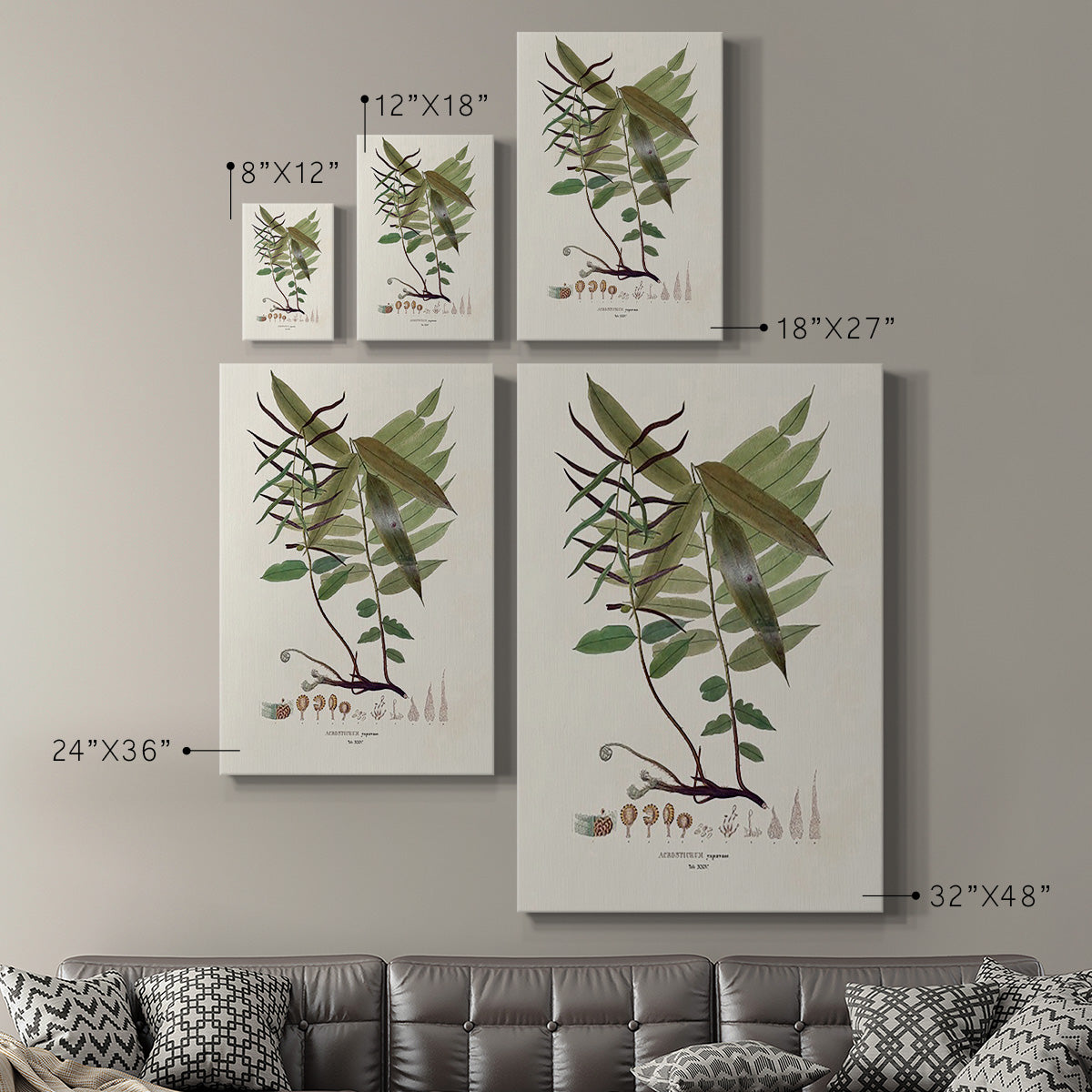Botanical Society Ferns VI - Canvas Art Print