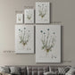 Bellflower Study Premium Gallery Wrapped Canvas - Ready to Hang