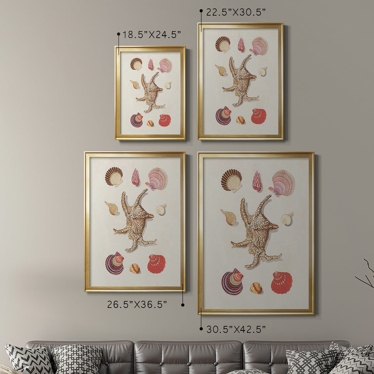 Knorr Shells & Coral II - Modern Framed Canvas Print