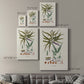 Botanical Society Ferns VIII Premium Gallery Wrapped Canvas - Ready to Hang