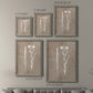 Botany Beauty III - Premium Framed Canvas 2 Piece Set - Ready to Hang