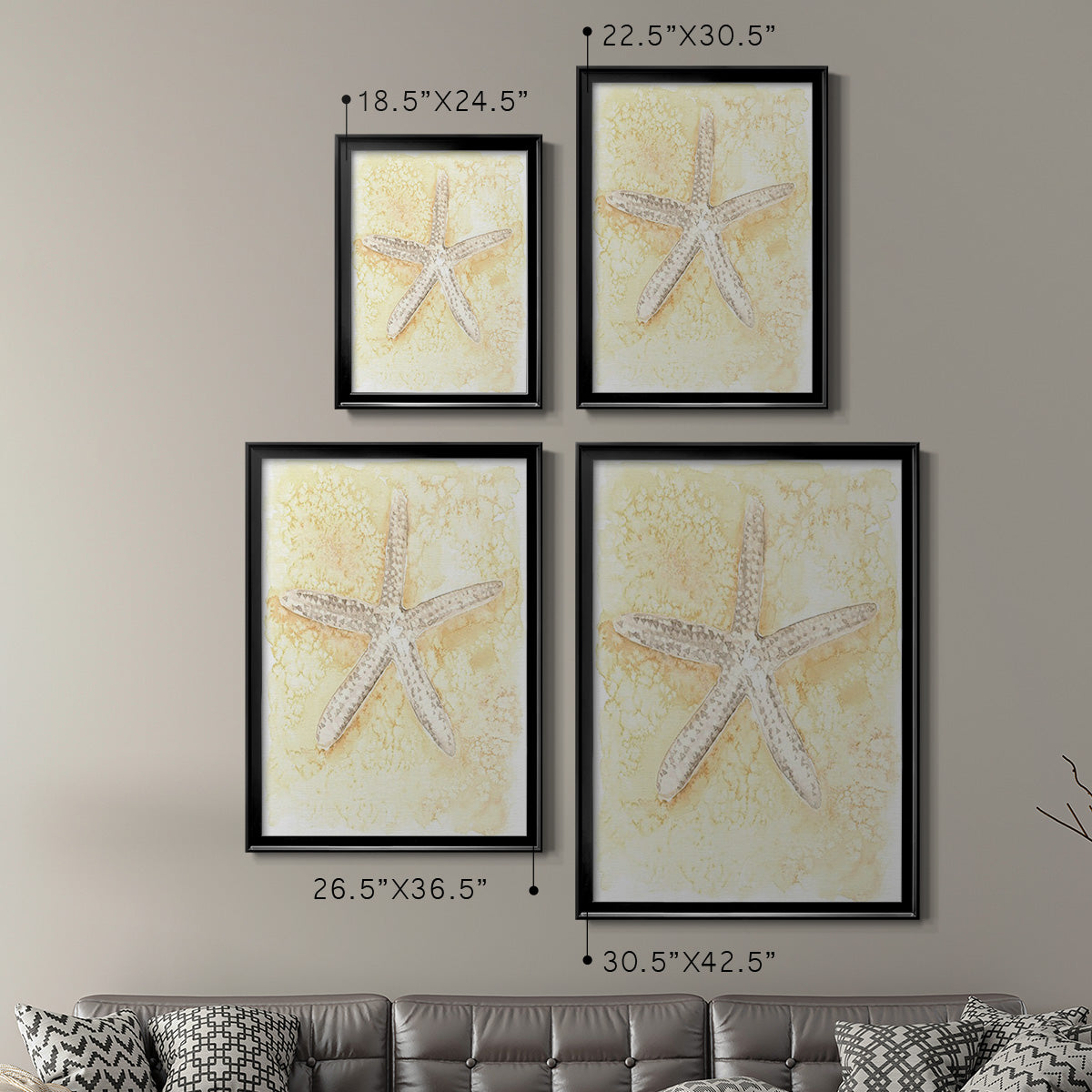 Salty Seashell I - Modern Framed Canvas Print