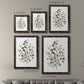 Neutral Eucalyptus I - Premium Framed Canvas 2 Piece Set - Ready to Hang