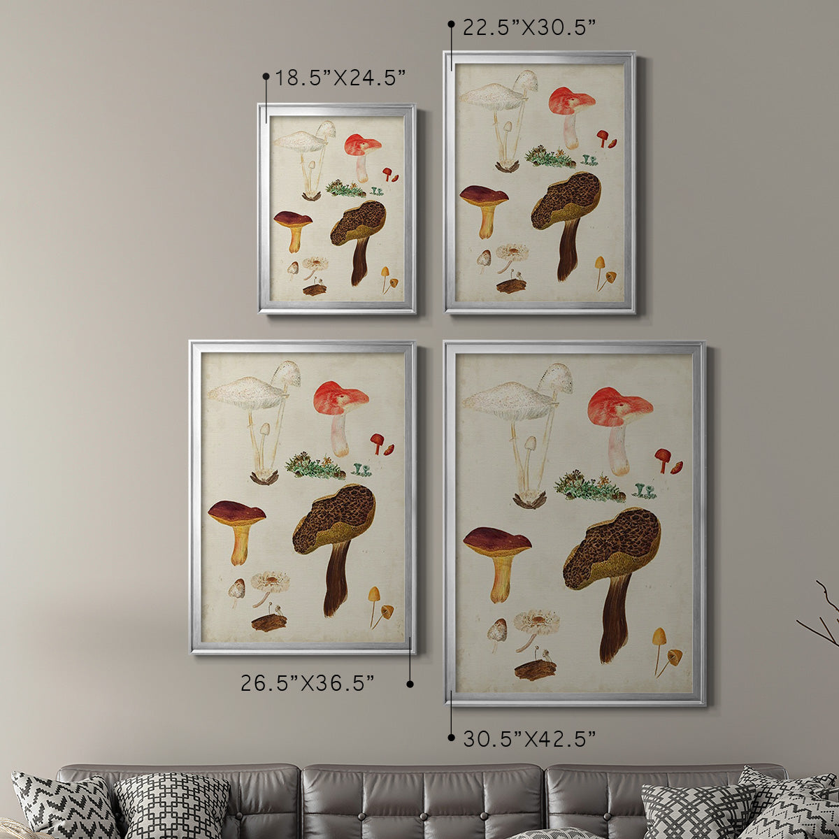 Mushroom Species XI - Modern Framed Canvas Print