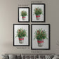 Winter Greens - Modern Framed Canvas Print