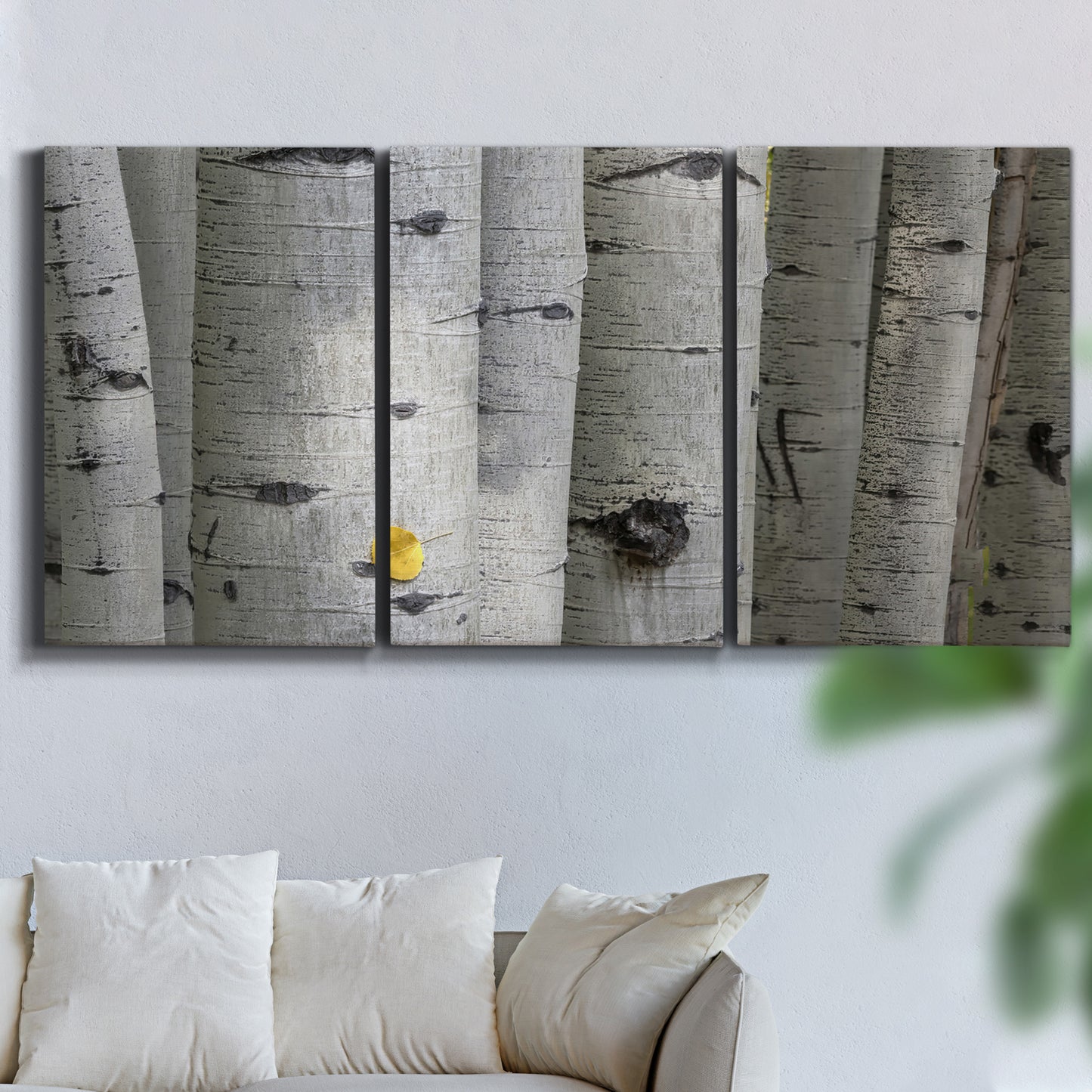 Three-panel canvas wall art featuring close up tree bark texture photograph, displayed in a living room above a sofa.