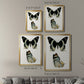 Antique Blue Butterflies I - Modern Framed Canvas Print