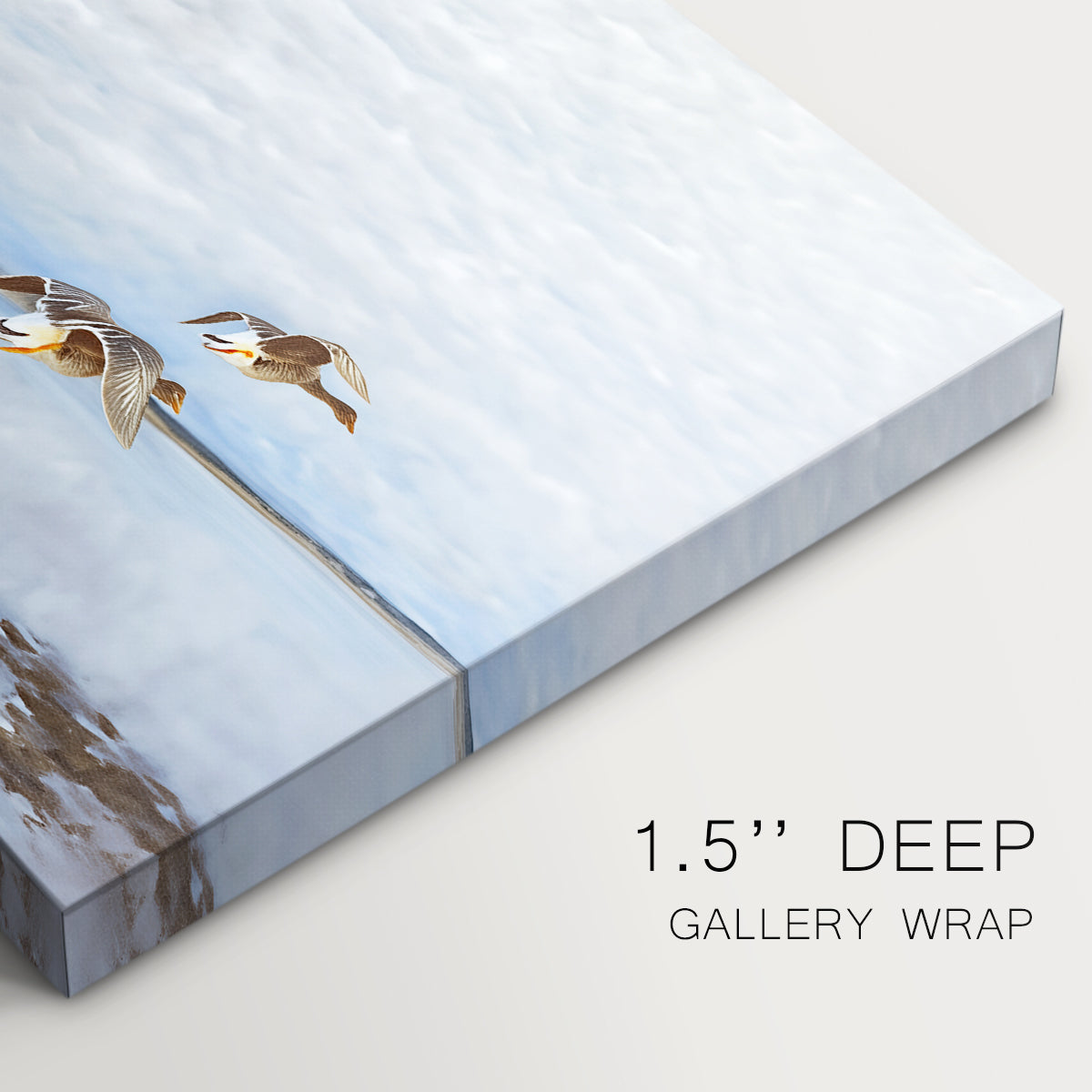 Canvas art print of a group of geese gathered near water in a natural wetland landscape, highlighting texture and gallery-wrapped edges