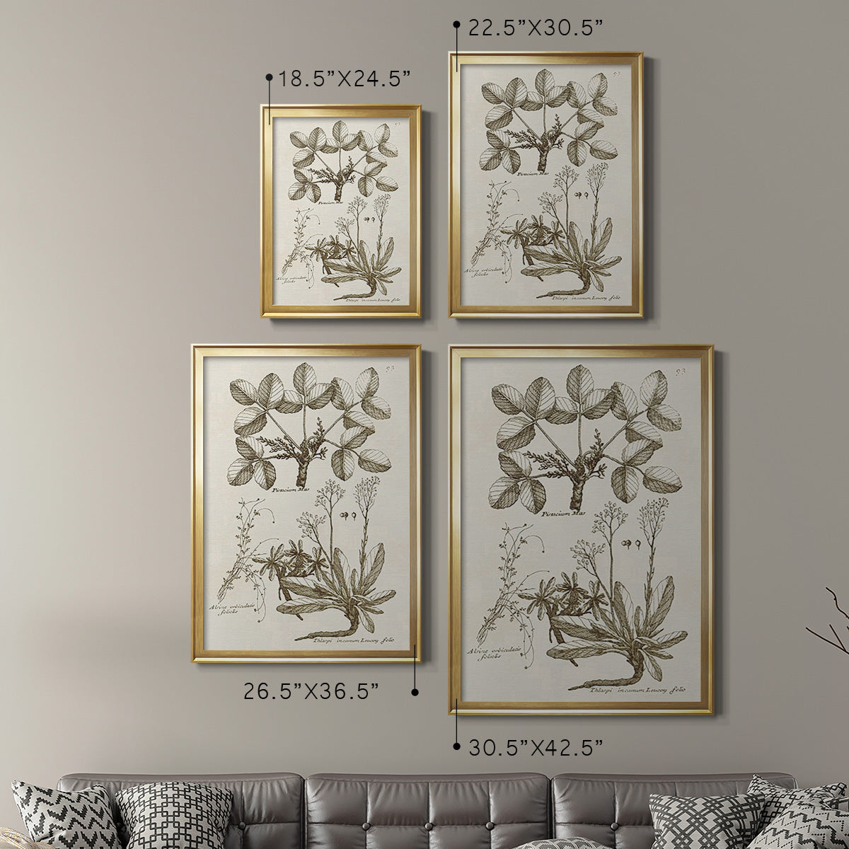 Sepia Botanical Journal VI - Modern Framed Canvas Print