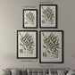 Botanical Society Ferns X - Modern Framed Canvas Print