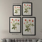 Flowers of the Seasons VIII - Modern Framed Canvas Print