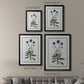 Soft Botanical II - Modern Framed Canvas Print