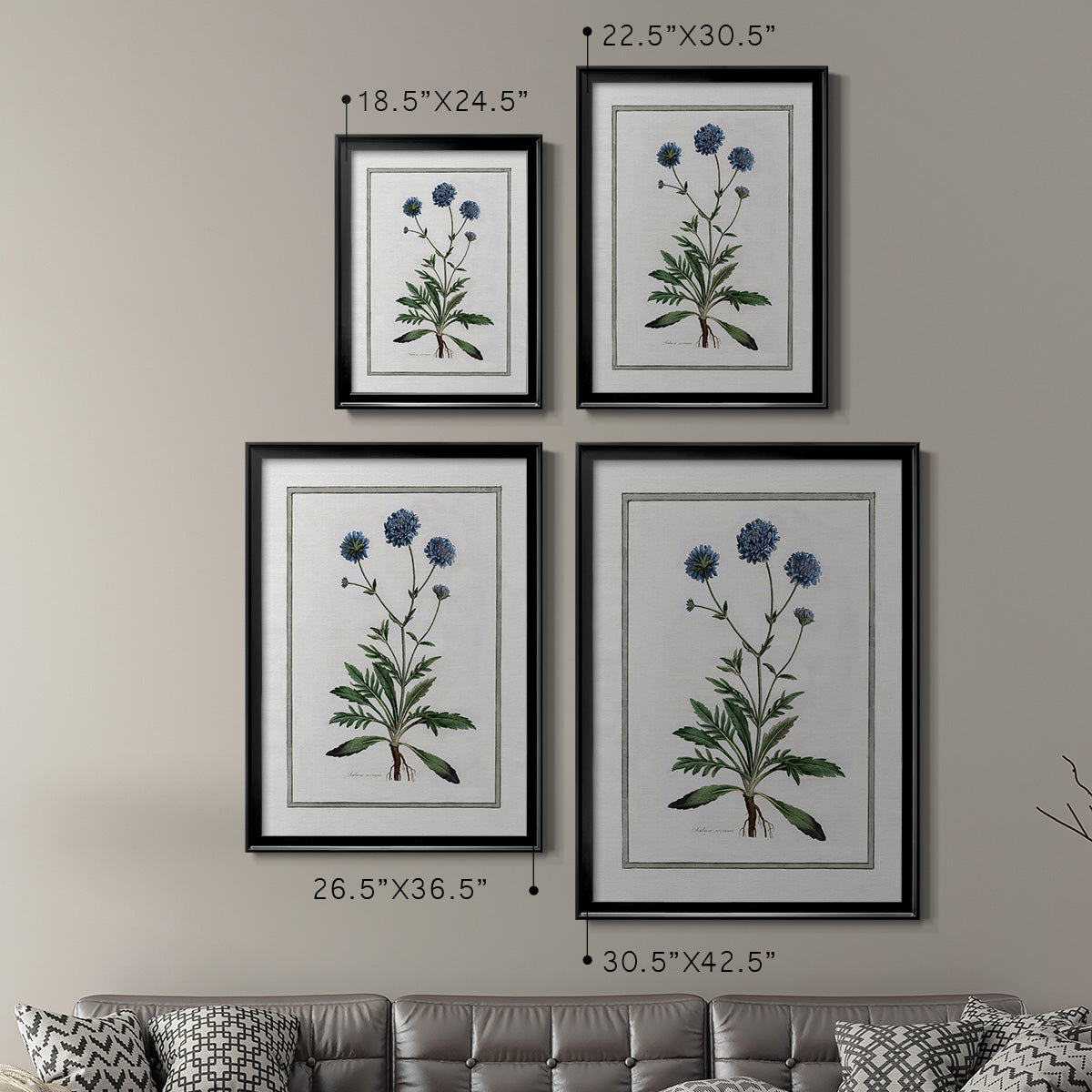 Soft Botanical II - Modern Framed Canvas Print