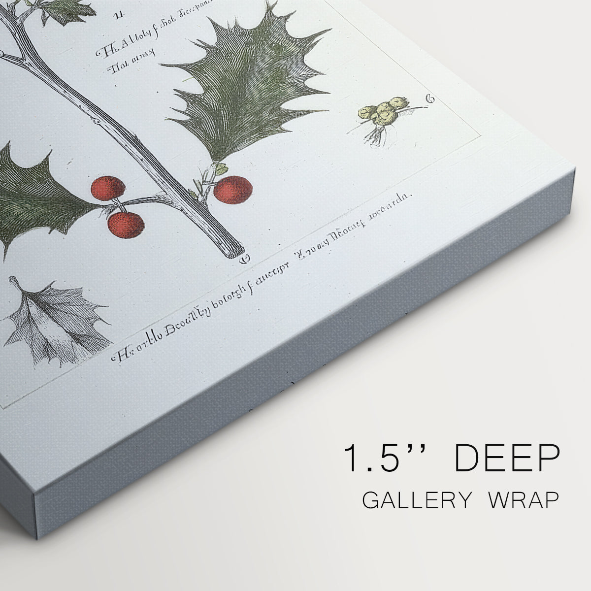 Silver Promise of Nativity - Canvas Art Print