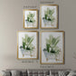 Plant Bath I - Modern Framed Canvas Print