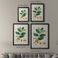 Turpin Tropical Botanicals V - Modern Framed Canvas Print