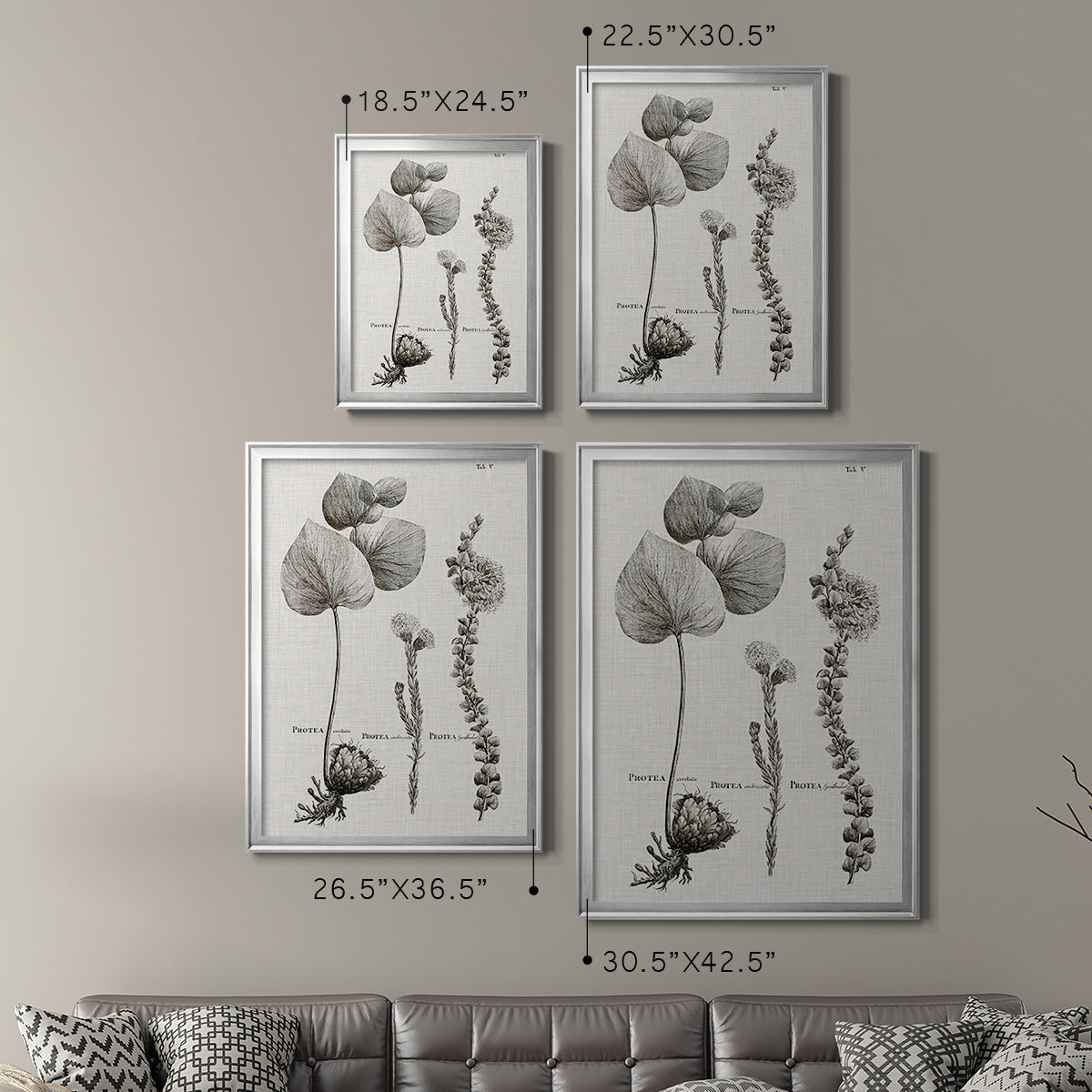 Black & White Protea on Linen II - Modern Framed Canvas Print