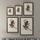 Elegant Trogons I - Premium Framed Canvas 2 Piece Set - Ready to Hang