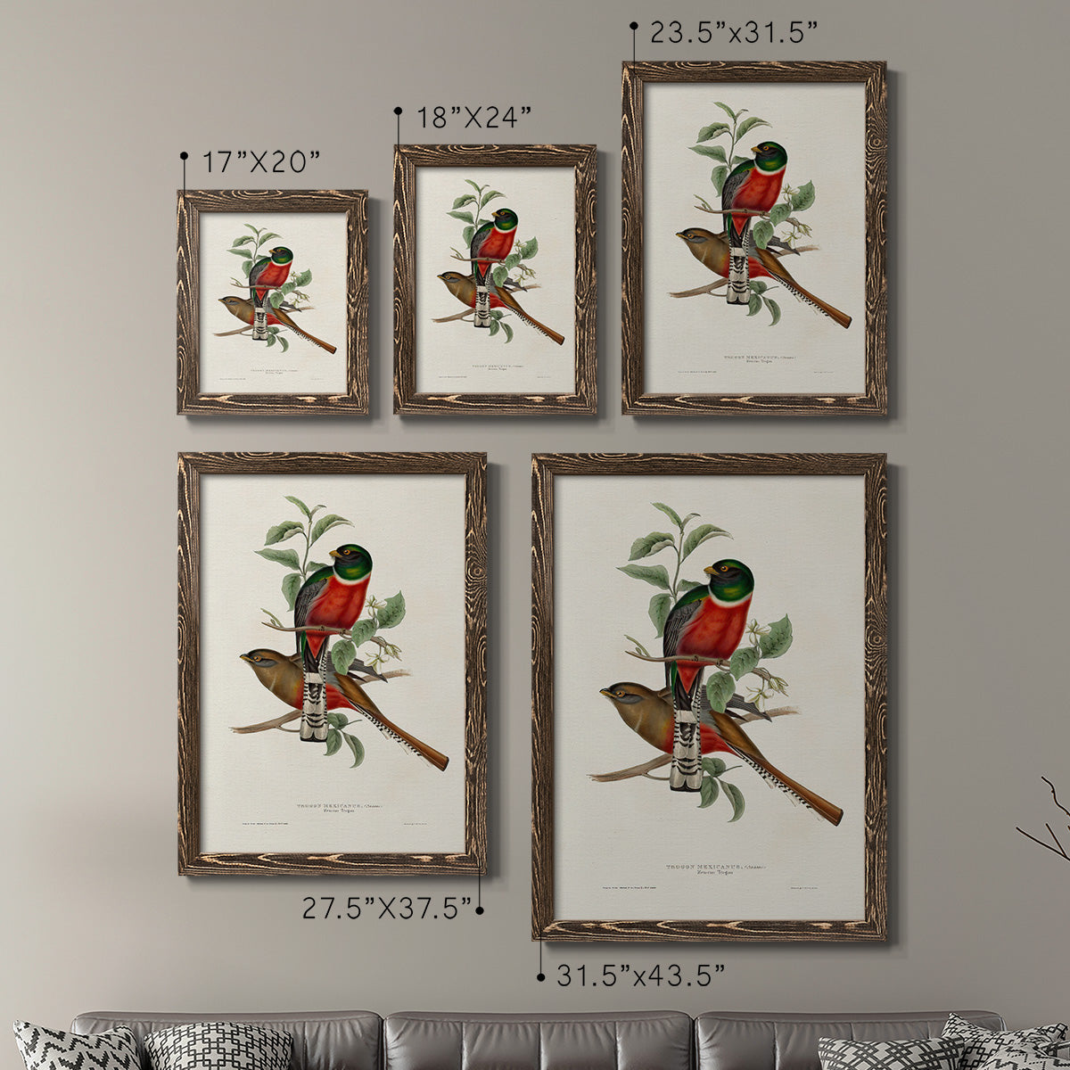 Elegant Trogons I - Premium Framed Canvas 2 Piece Set - Ready to Hang