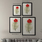Flowers of the Seasons VII - Modern Framed Canvas Print
