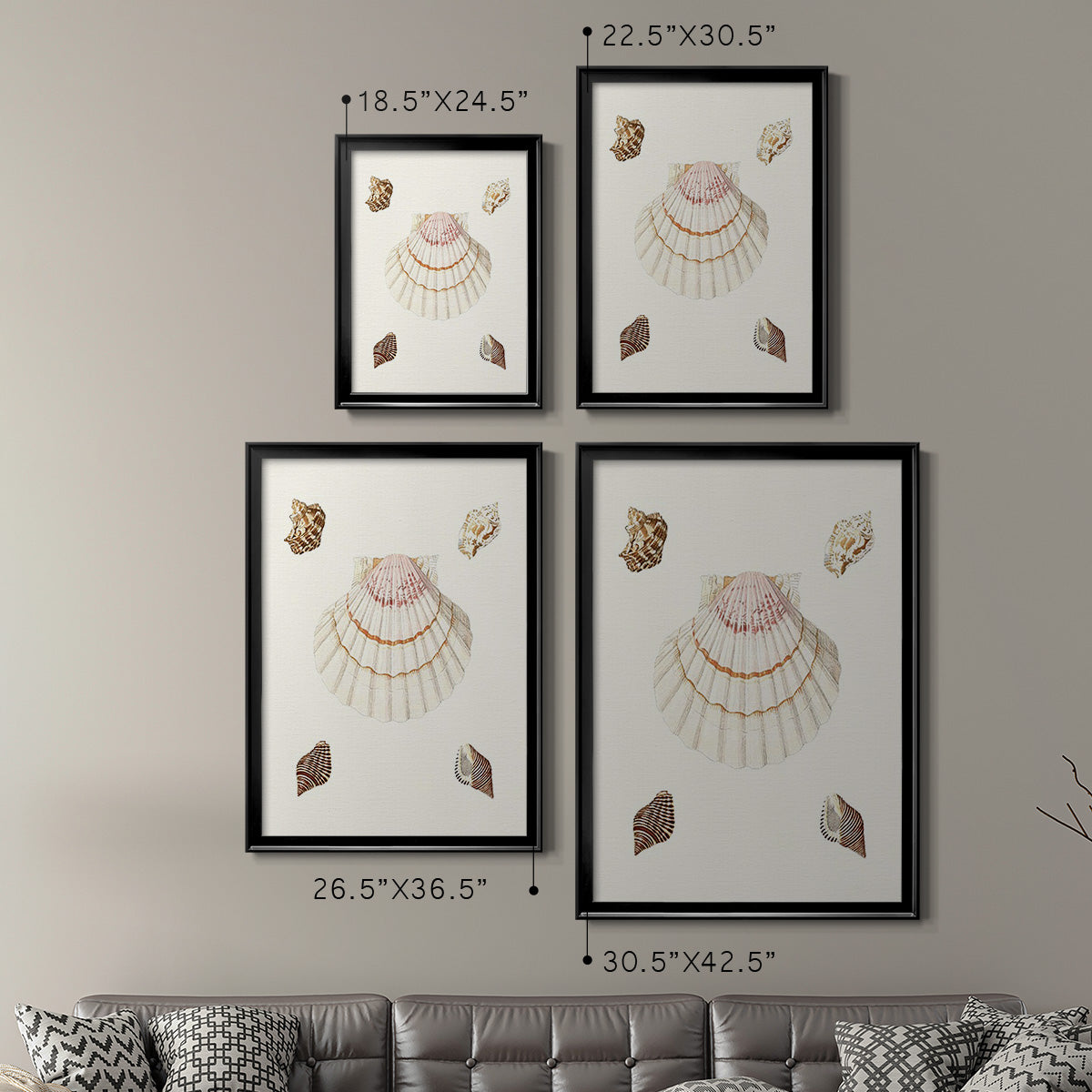 Pastel Knorr Shells IV - Modern Framed Canvas Print