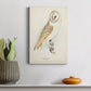 Barn Owl Premium Gallery Wrapped Canvas - Ready to Hang