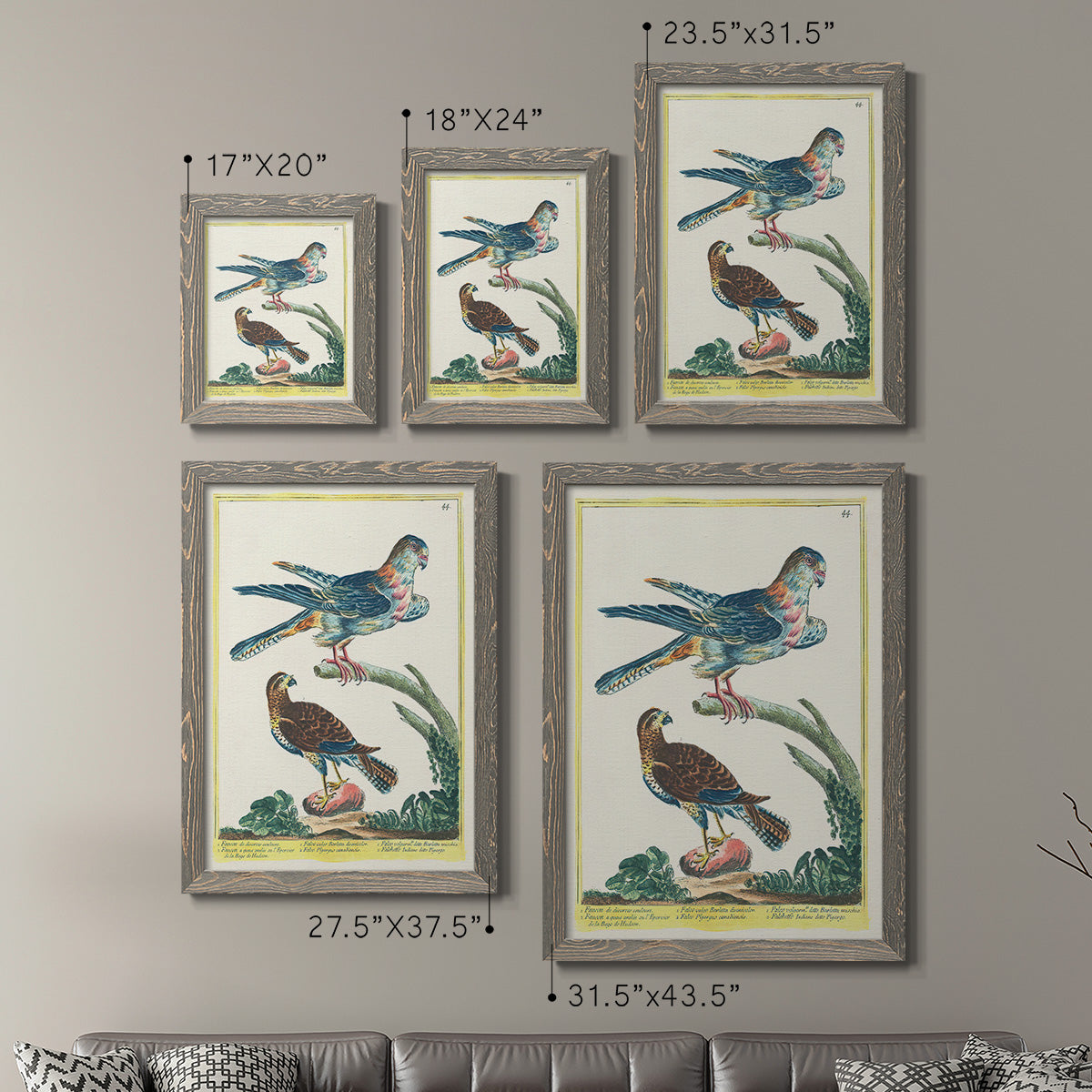 Size comparison chart for a set of two gray barnwood framed canvas prints.