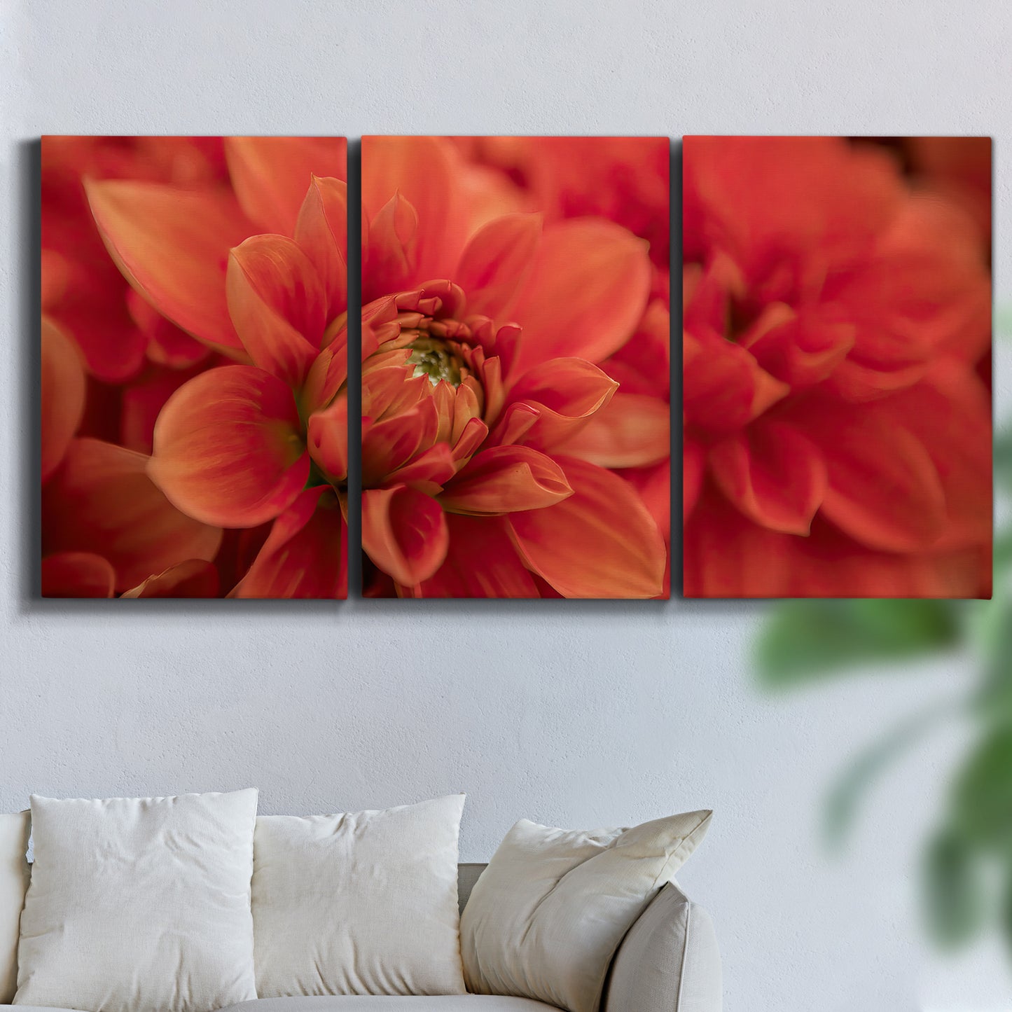 Three-panel canvas wall art featuring vivid red floral close up, displayed in a living room above a sofa.