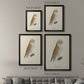 French Owls VI - Modern Framed Canvas Print