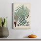 Collected Ferns I Premium Gallery Wrapped Canvas - Ready to Hang