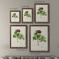 Size comparison chart for a set of two walnut barnwood framed canvas prints.