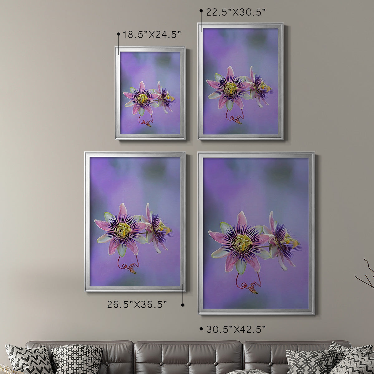 Exotic Flower Burst II - Modern Framed Canvas Print