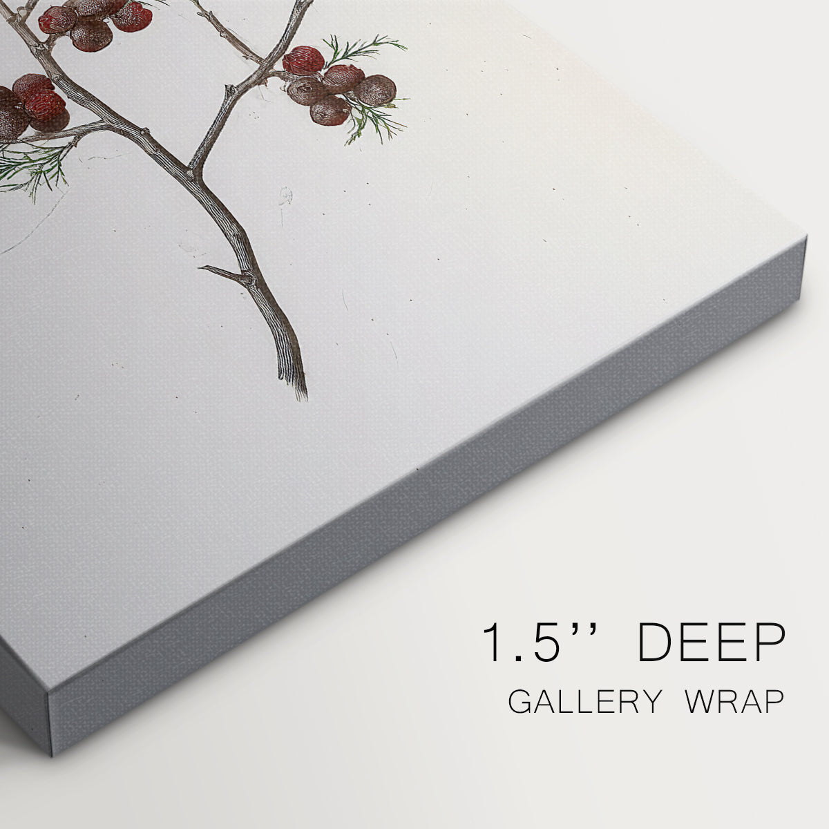 Silver Serenade of Dusk - Canvas Art Print